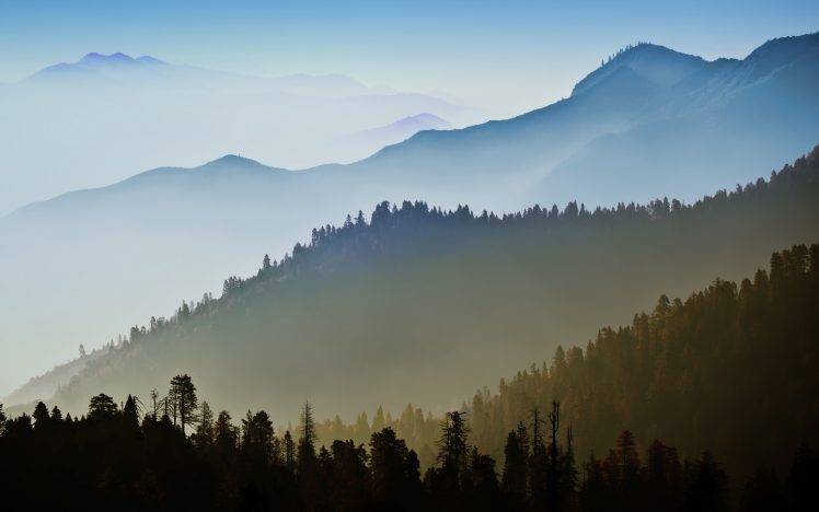 nature, Landscape, Trees, Mountain HD Wallpaper Desktop Background