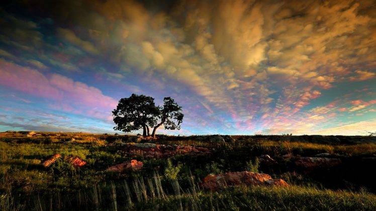 nature, Landscape, Sky HD Wallpaper Desktop Background
