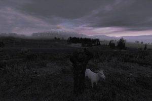 DayZ, Arma 2, Arma II, Arma, Goats, Landscape, Horizon, Video Games, Screenshots