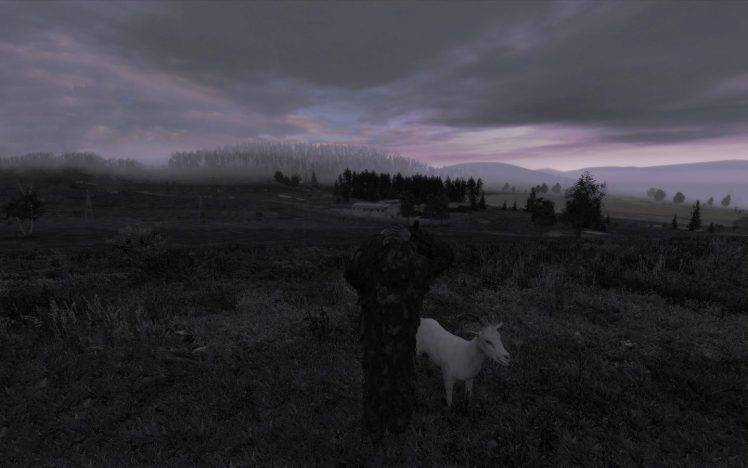 DayZ, Arma 2, Arma II, Arma, Goats, Landscape, Horizon, Video Games, Screenshots HD Wallpaper Desktop Background