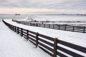 nature, Snow, Fence, Landscape