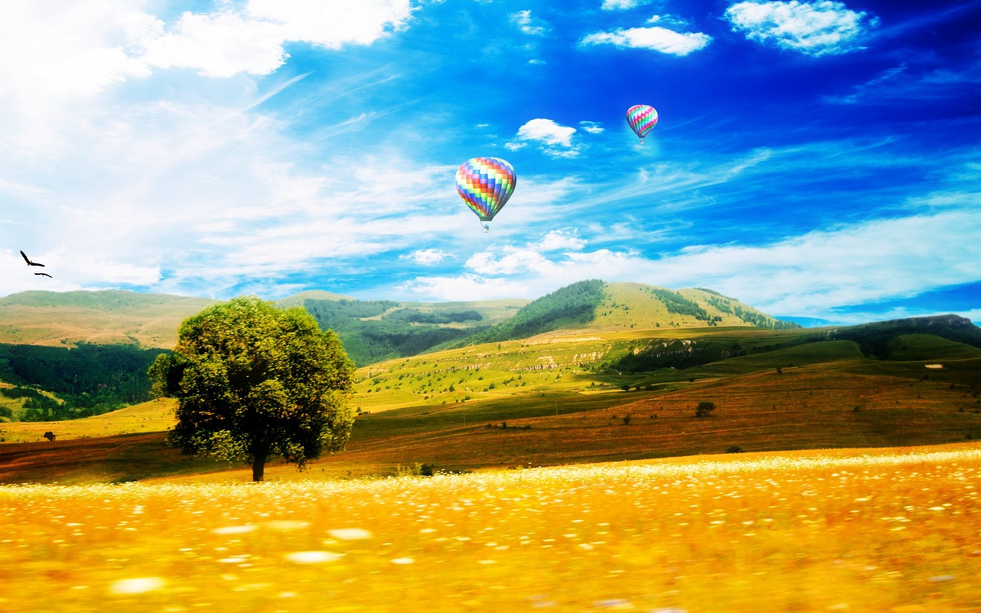 landscape, Sky, Hot Air Balloons Wallpaper