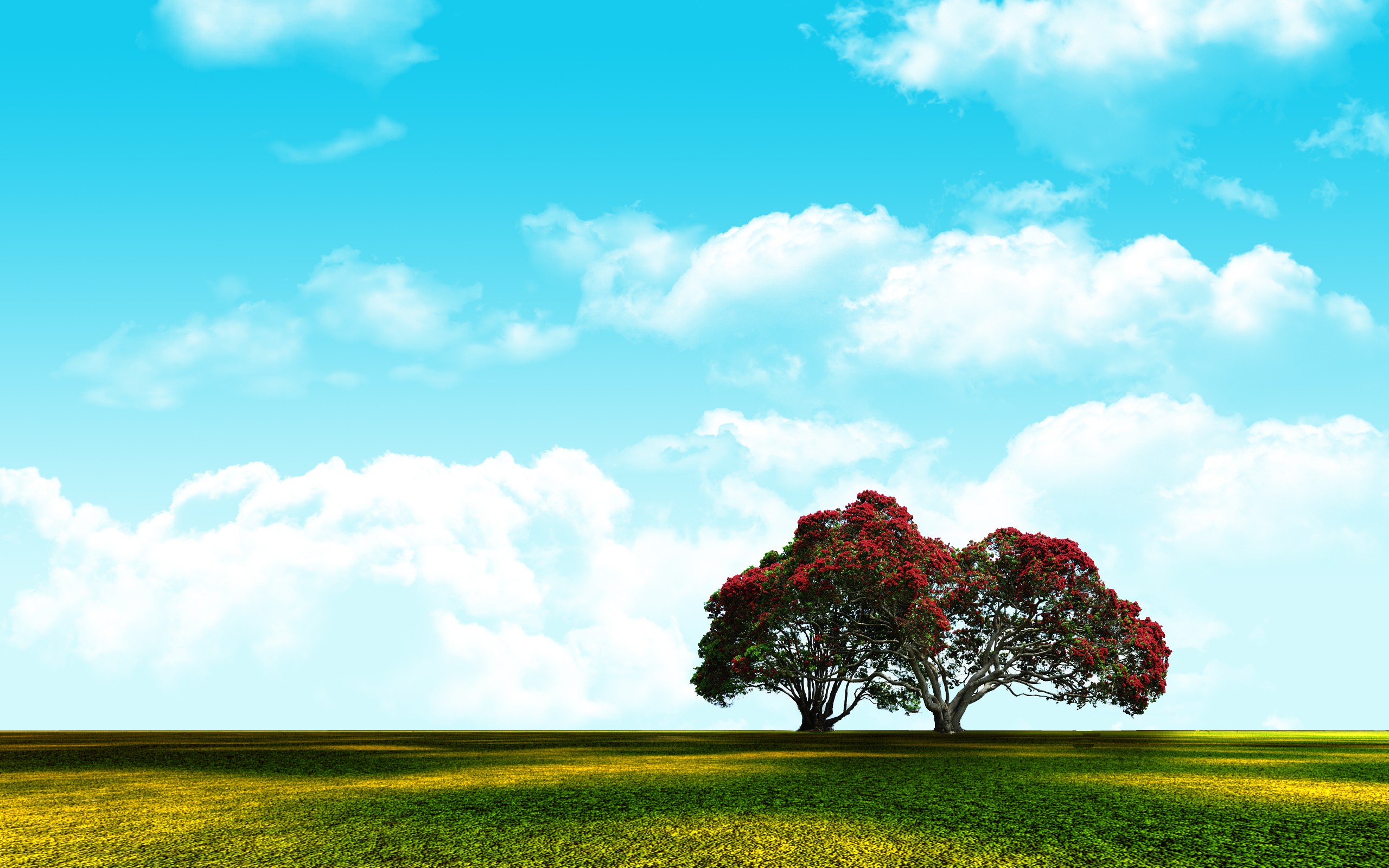 Sky Nature Landscape Adobe Photoshop Wallpapers HD Desktop