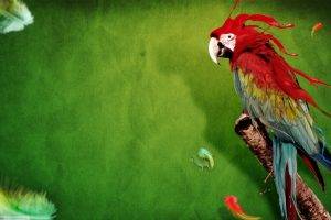 abstract, Animals, Birds, Macaws, Feathers, Green Background