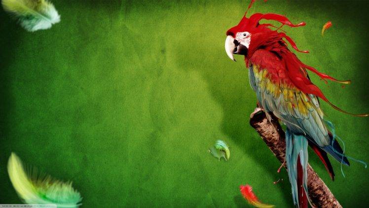 abstract, Animals, Birds, Macaws, Feathers, Green Background HD Wallpaper Desktop Background
