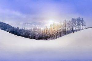 snow, Winter, Seasons, Landscape