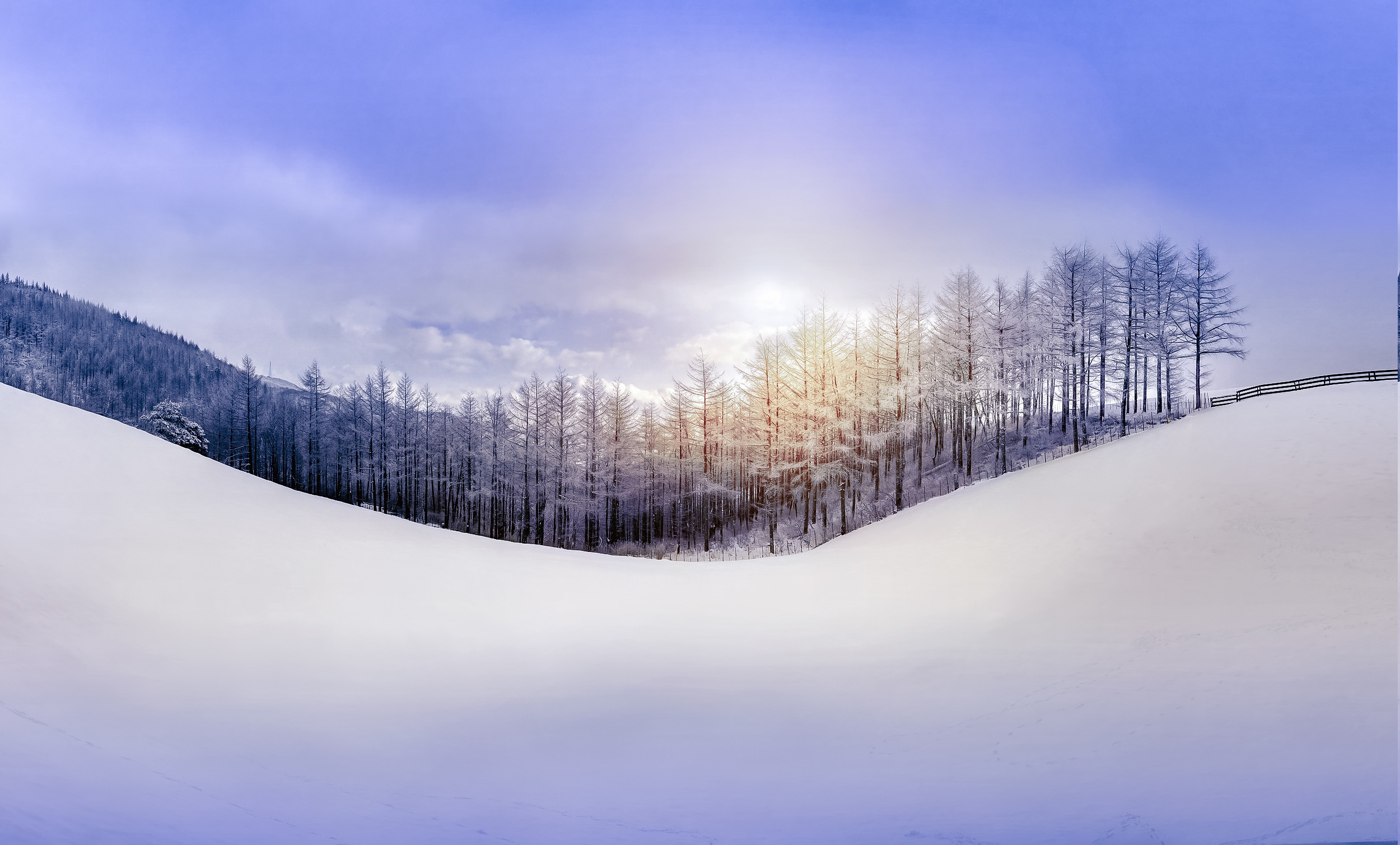 snow, Winter, Seasons, Landscape Wallpaper