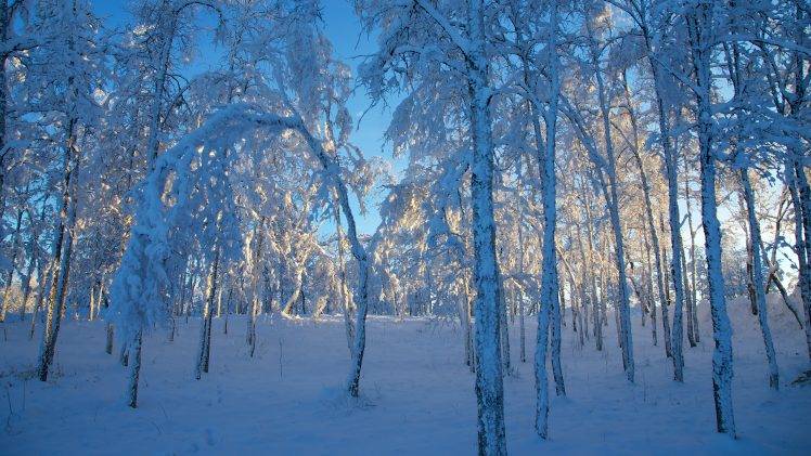 winter, Seasons, Ice, Landscape HD Wallpaper Desktop Background