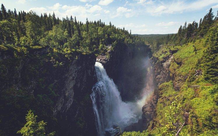 waterfall, Landscape, Forest, Rock, Valley HD Wallpaper Desktop Background