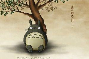 Totoro, My Neighbor Totoro, Anime