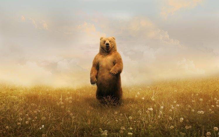 bears, Landscape, Grass, Adobe Photoshop, Animals, Artwork, Grizzly Bears HD Wallpaper Desktop Background