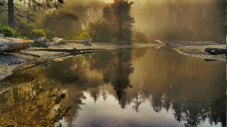 river, Forest, Nature, Landscape HD Wallpaper Desktop Background