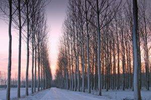 landscape, Winter, Snow, Trees, Sunset