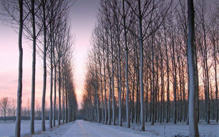 landscape, Winter, Snow, Trees, Sunset HD Wallpaper Desktop Background