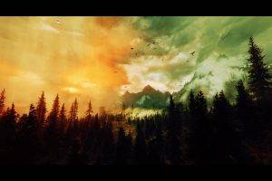 The Elder Scrolls V: Skyrim, Landscape, Forest