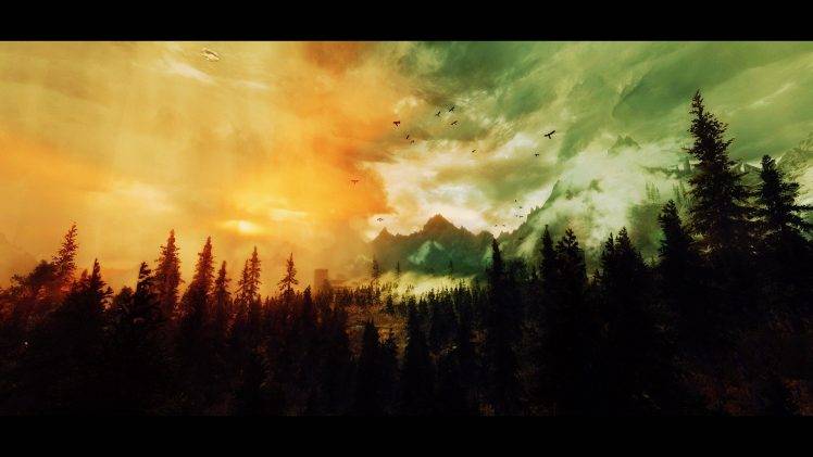 The Elder Scrolls V: Skyrim, Landscape, Forest HD Wallpaper Desktop Background