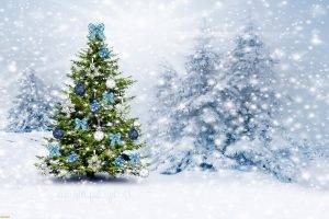 Christmas Tree, Winter, Snow