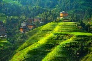 terraced Field, Landscape, Hill, China
