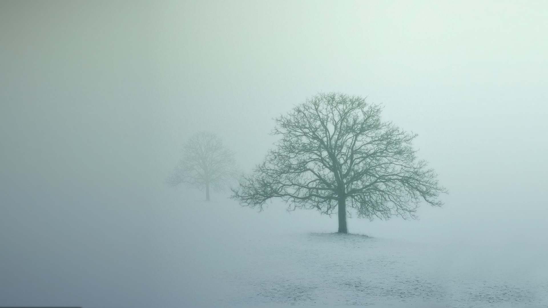 mist, Winter, Trees, Abstract