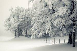 seasons, Landscape, Snow, Winter