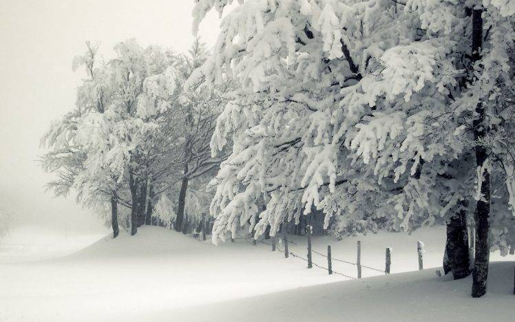 seasons, Landscape, Snow, Winter HD Wallpaper Desktop Background