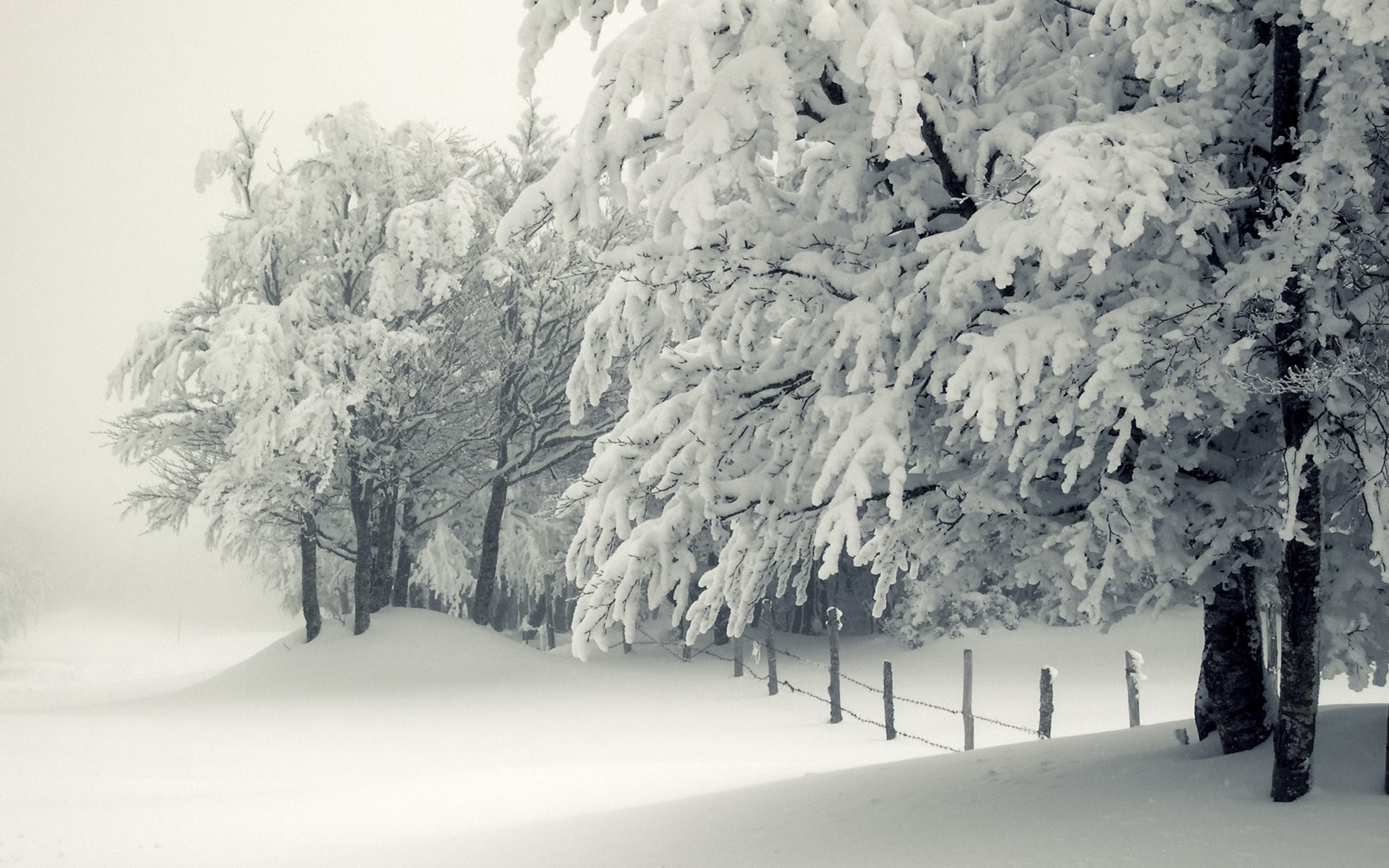 seasons, Landscape, Snow, Winter Wallpaper