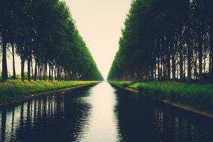 trees, River, Landscape