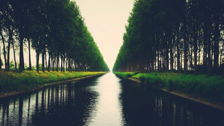 trees, River, Landscape HD Wallpaper Desktop Background