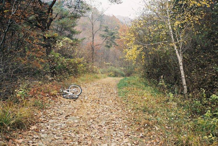 landscape, Forest, Path, Bicycle, Leaves, Dirt Road HD Wallpaper Desktop Background