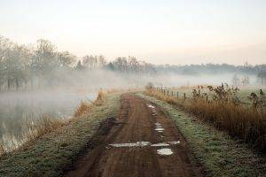 landscape, Mist, Dirt Road