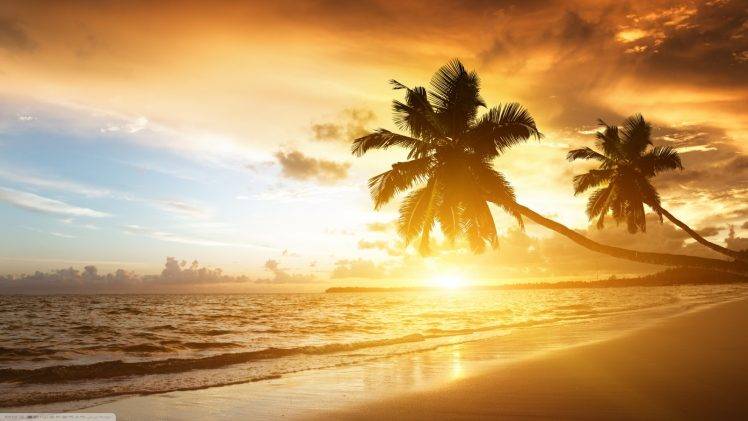 landscape, Sea, Palm Trees HD Wallpaper Desktop Background