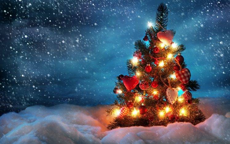 Christmas, Fir, Trees, Christmas Tree HD Wallpaper Desktop Background