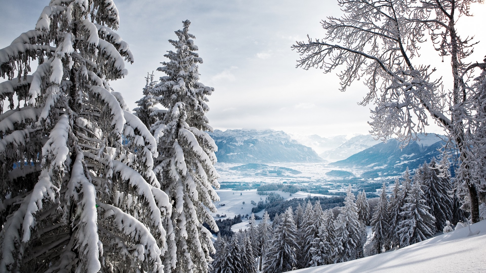 nature, Winter, Landscape, Snow Wallpaper