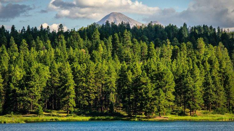 landscape, Nature, Forest, Lake HD Wallpaper Desktop Background