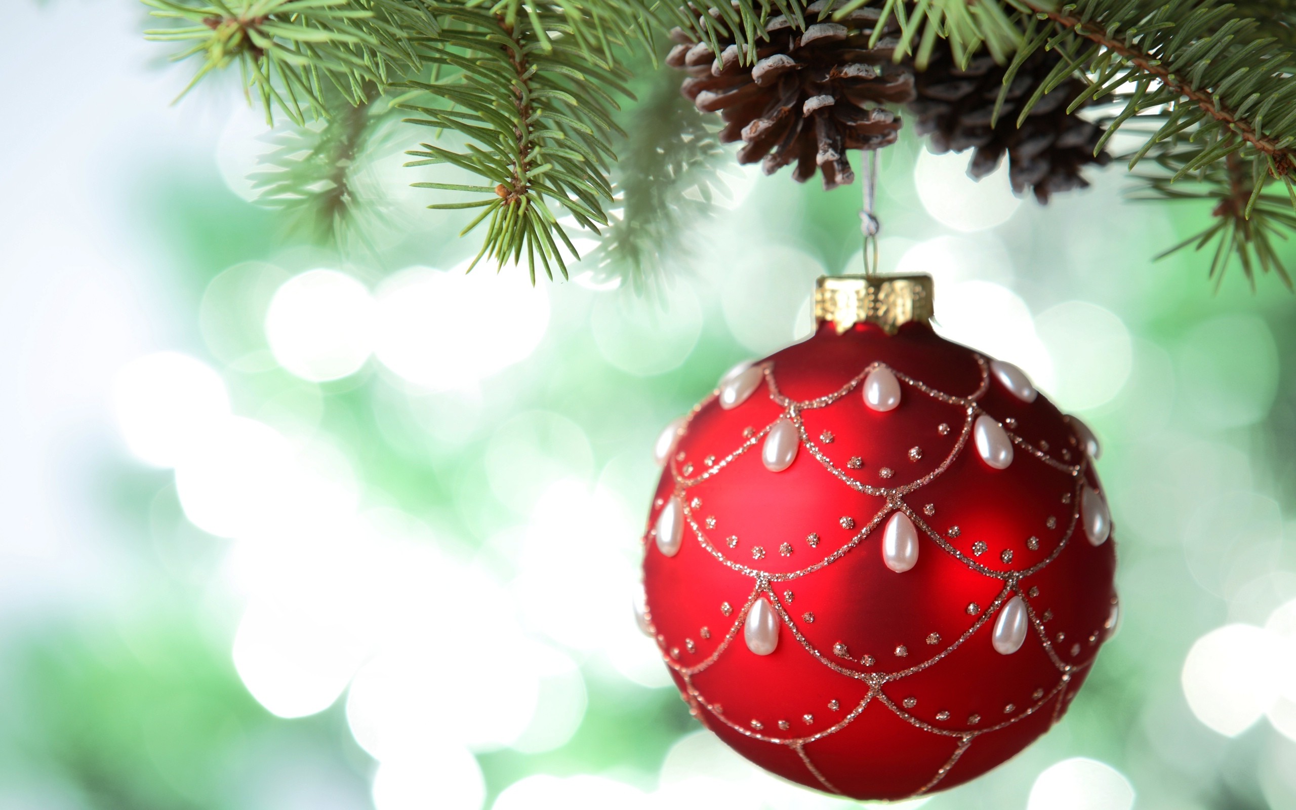 New Year, Snow, Christmas Ornaments, Cones, Bokeh, Leaves Wallpapers HD