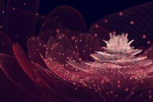 flowers, Abstract, Fractal Flowers
