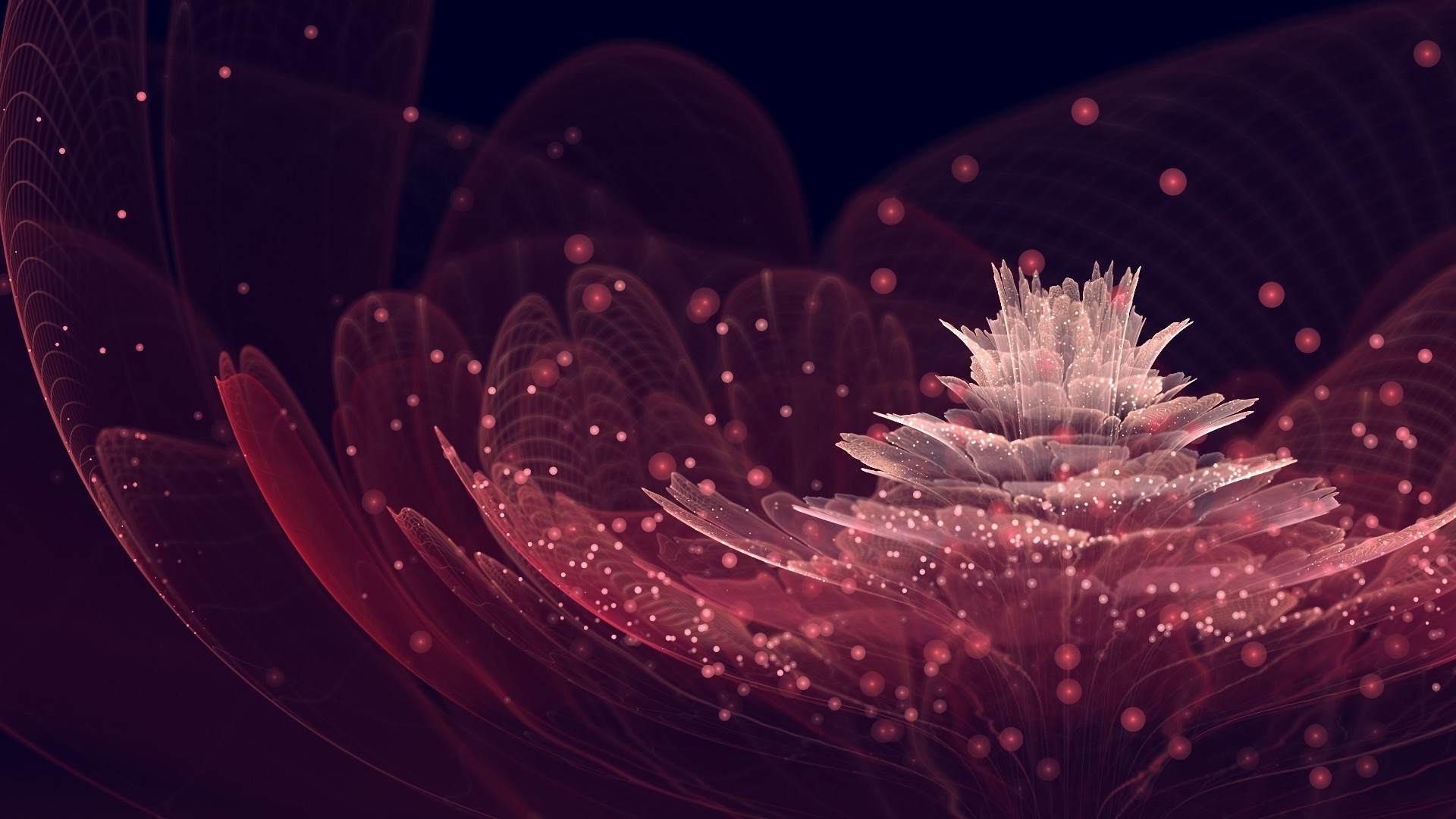 flowers, Abstract, Fractal Flowers Wallpaper