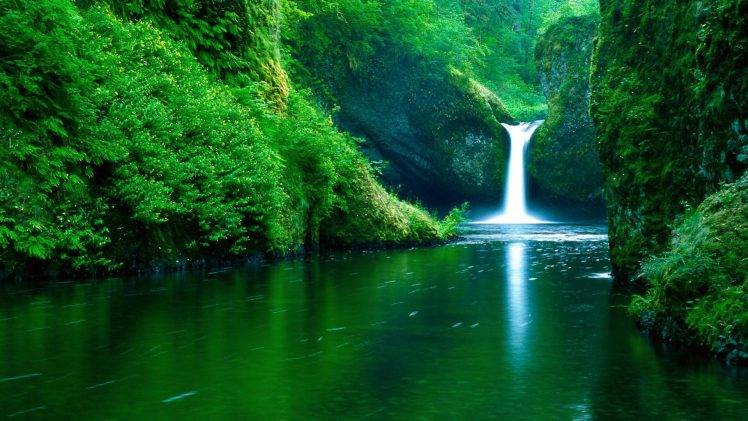 waterfall, Water, Nature, Landscape, Green, River, Forest HD Wallpaper Desktop Background