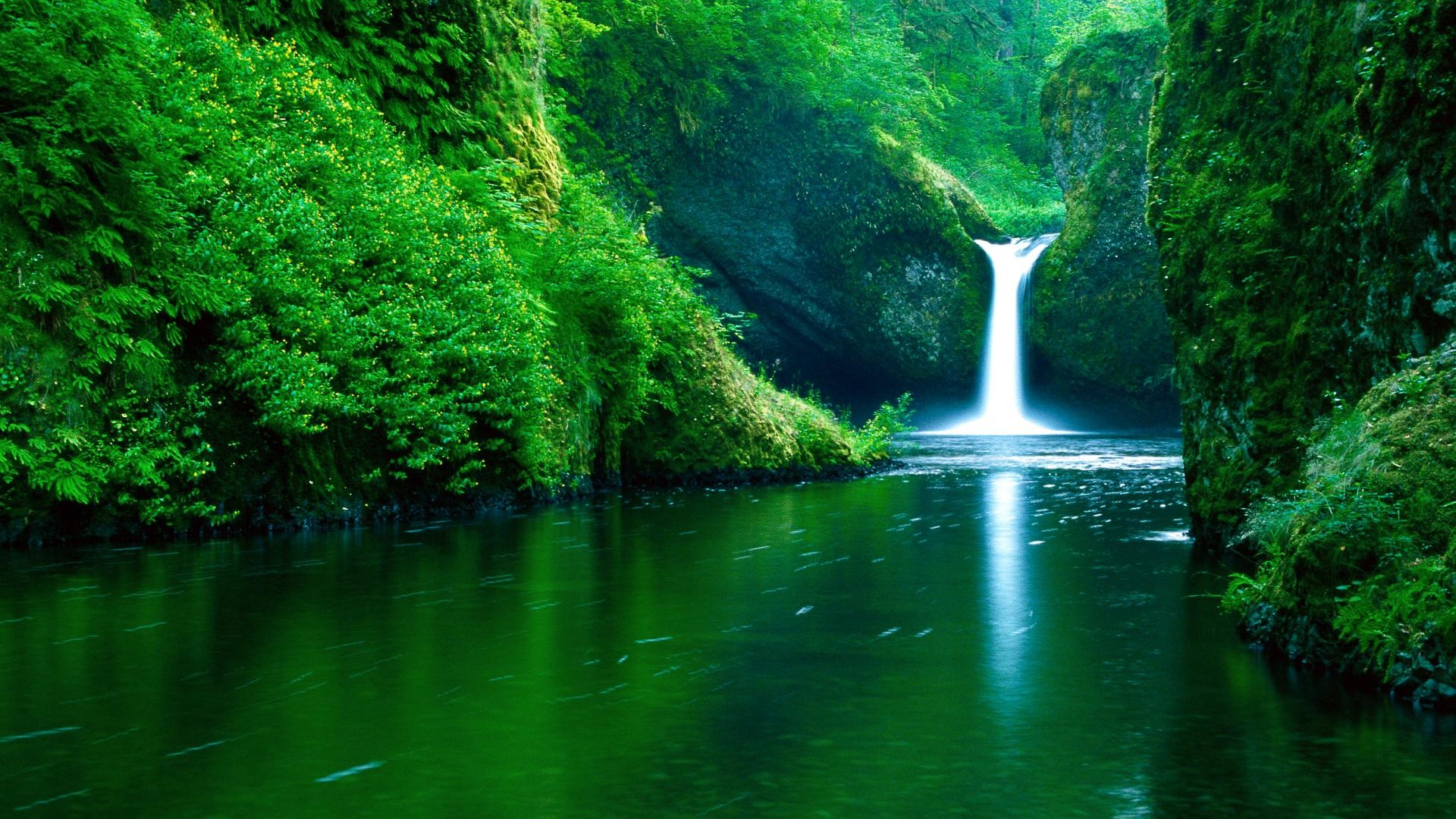 waterfall, Water, Nature, Landscape, Green, River, Forest Wallpaper