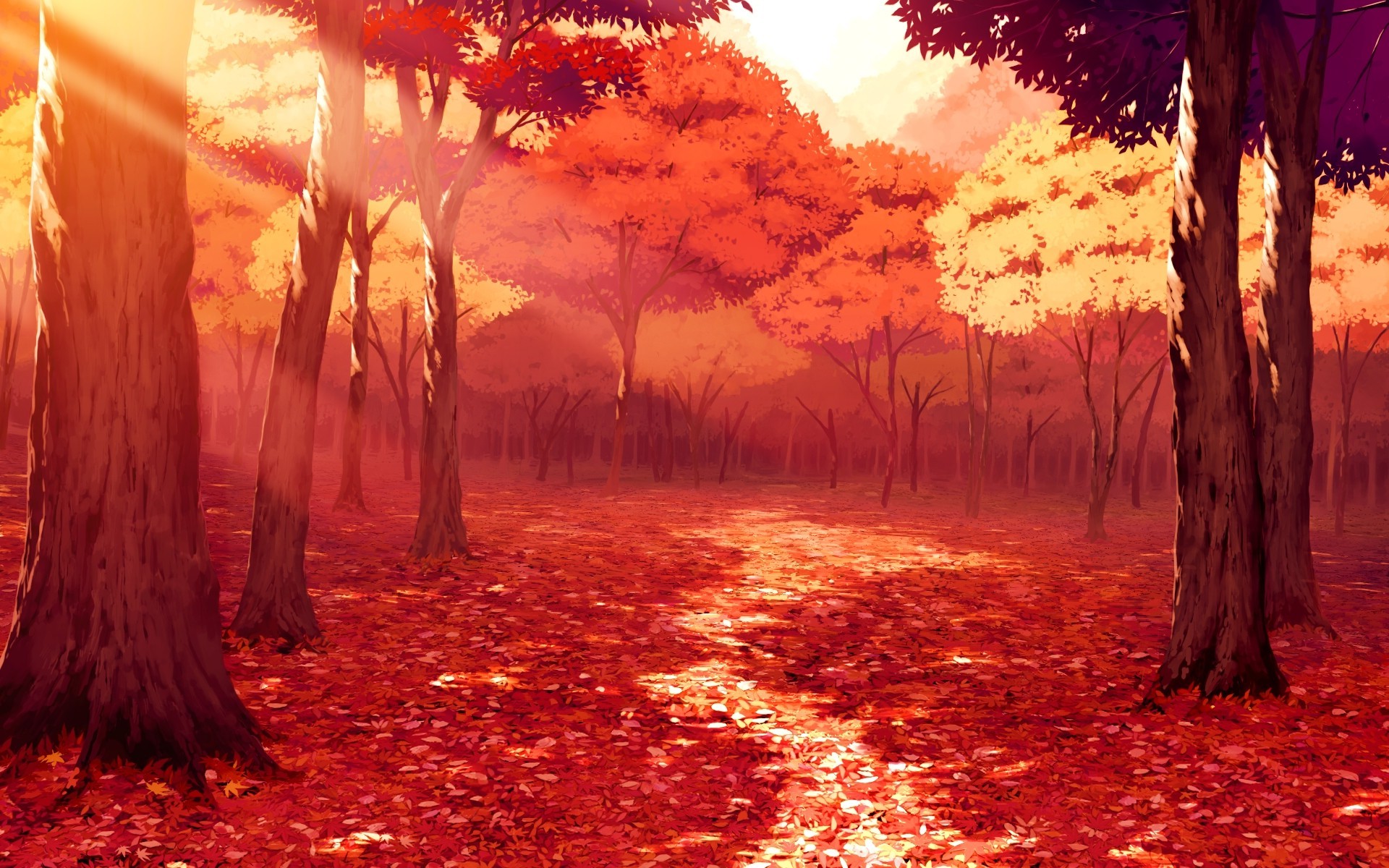  drawing  Artwork Fall Leaves Sunlight Forest  Red 