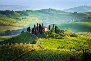 landscape, Italy, Hill, Field