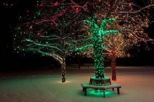 trees, Lights, Christmas, Winter, Snow, Park