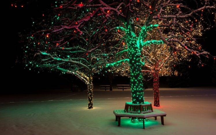 trees, Lights, Christmas, Winter, Snow, Park HD Wallpaper Desktop Background