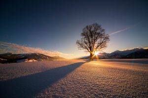 nature, Landscape, Trees, Winter, Snow, Mountain, Sun, Sunrise, Shadow, Clouds, Sunlight