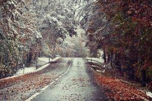 winter, Landscape, Road, Snow, Leaves