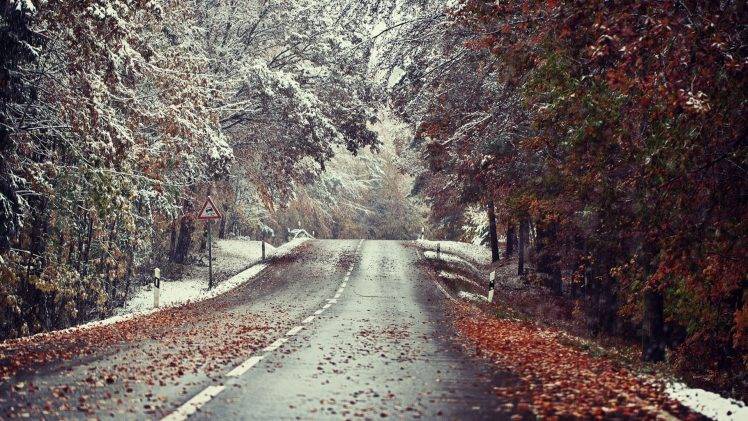 winter, Landscape, Road, Snow, Leaves HD Wallpaper Desktop Background