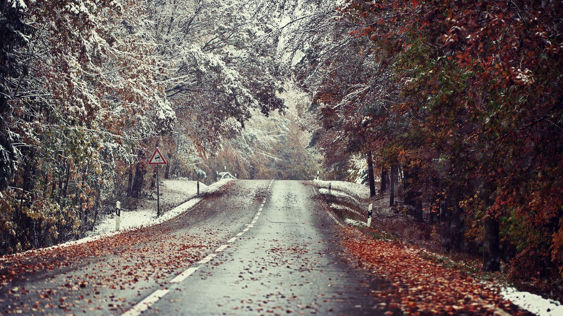 winter, Landscape, Road, Snow, Leaves Wallpaper