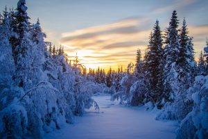 landscape, Snow, Winter, Forest, Trees, Sunrise