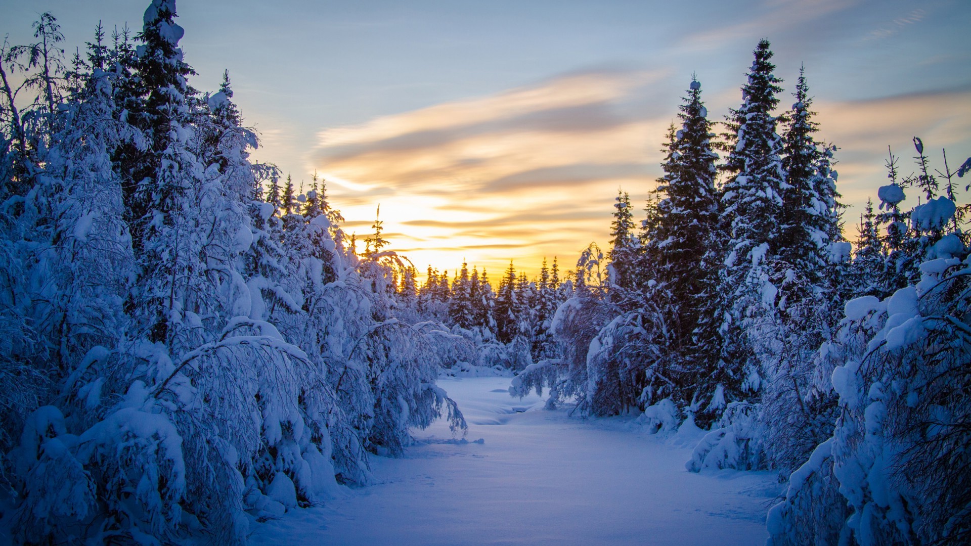 landscape, Snow, Winter, Forest, Trees, Sunrise Wallpaper