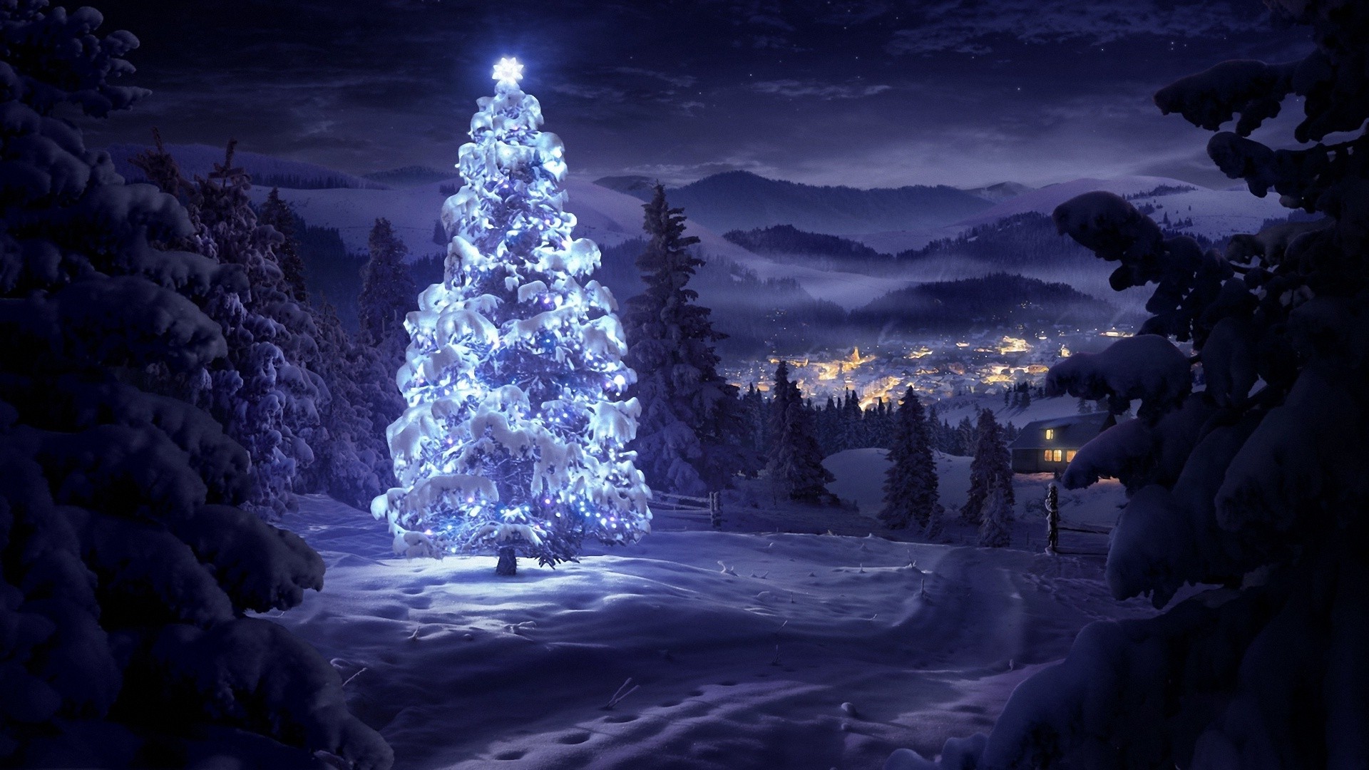 Christmas Night Landscape Christmas Tree Mountain Snow Winter